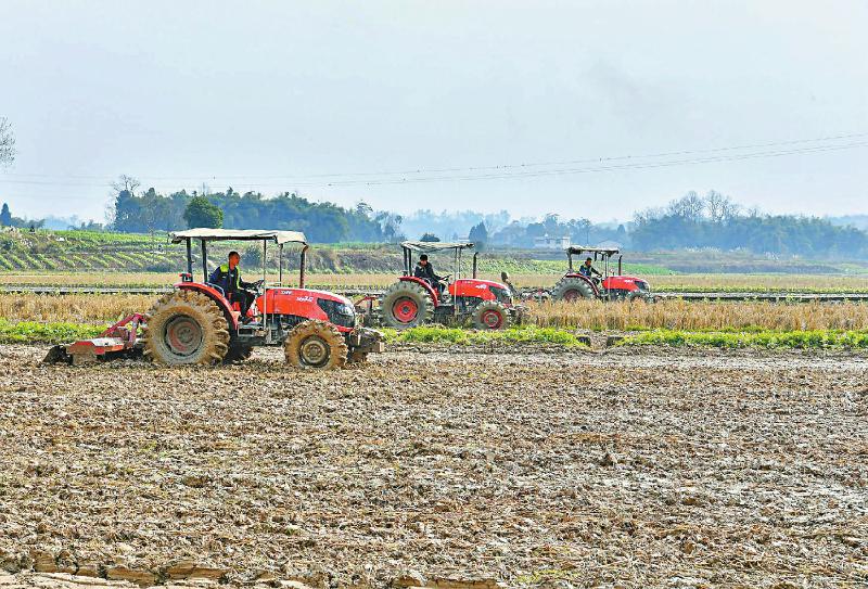虎年勇奮進(jìn)?錦繡四川氣象新「相關(guān)圖片」